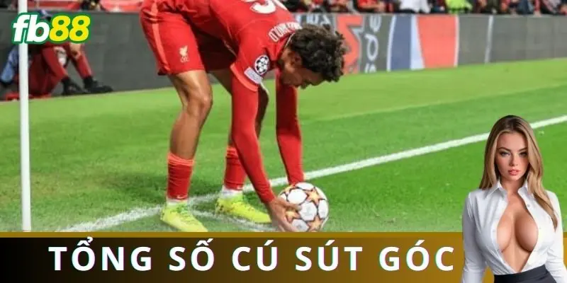 Các loại kèo tổng số cú sút góc phổ biến