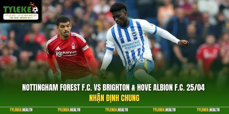 Nottingham Forest F.C. vs Brighton & Hove Albion F.C. 25/04 nhận định chung